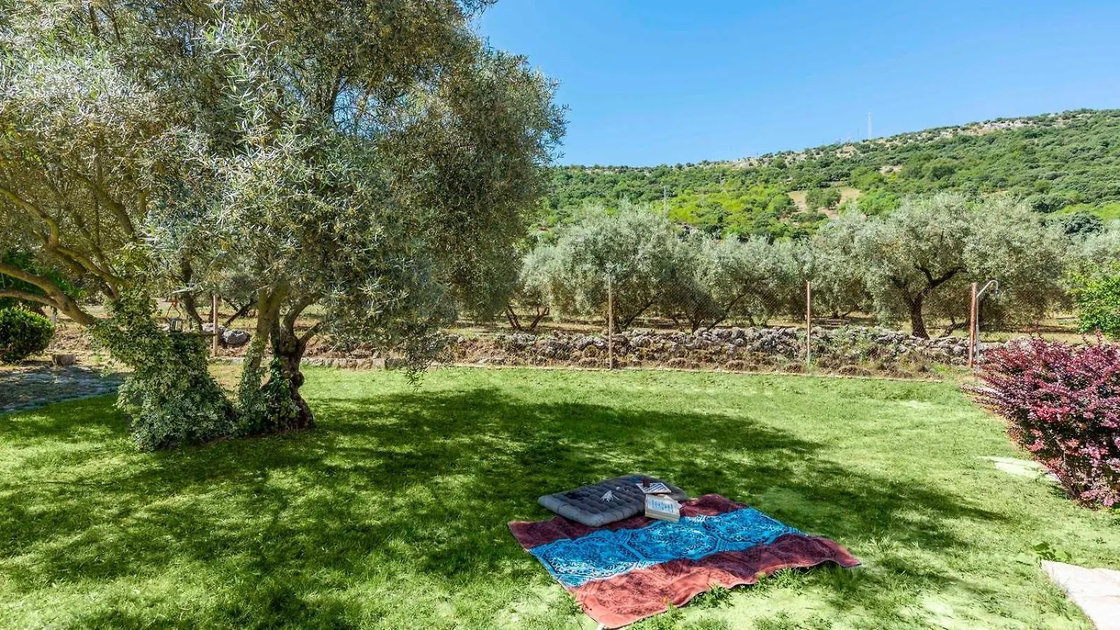 Holiday home Casa Rural El Ciruelo Loco Alfarnate By Ruralidays Alfarnatejo