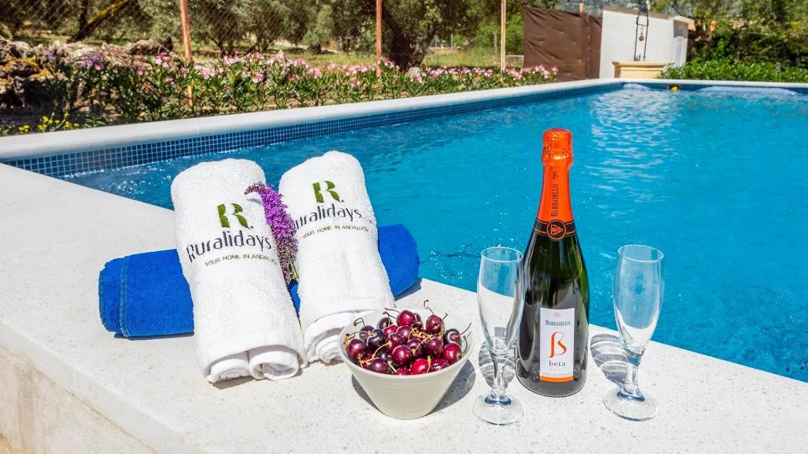 Casa Rural El Ciruelo Loco Alfarnate By Ruralidays Alfarnatejo Holiday home